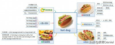 ​hotdog的发音 每日一个英语单词：hot dog